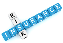 Bespoke Insurance Products